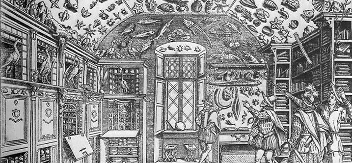 Breve Historia del Coleccionismo IV - Las Wunderkammern y los Gabinetes de Historia Natural