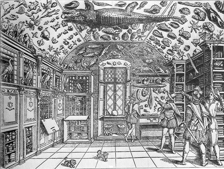 A brief history of collecting IV - Wunderkammern and natural history cabinets