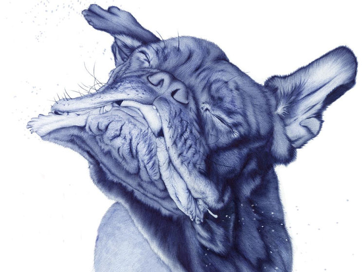 7 artistas del boli BIC