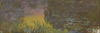 Water lilies, Monet's great obsession