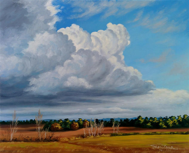 Exuberantes nubes, Tatiana Zappa. 